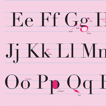 Typography Poster